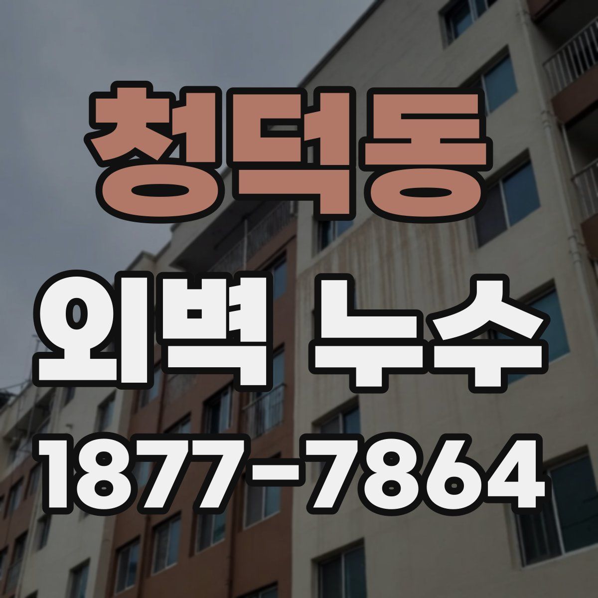 청덕동 외벽 누수