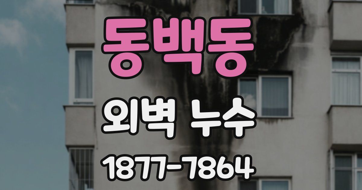 동백동 외벽 누수