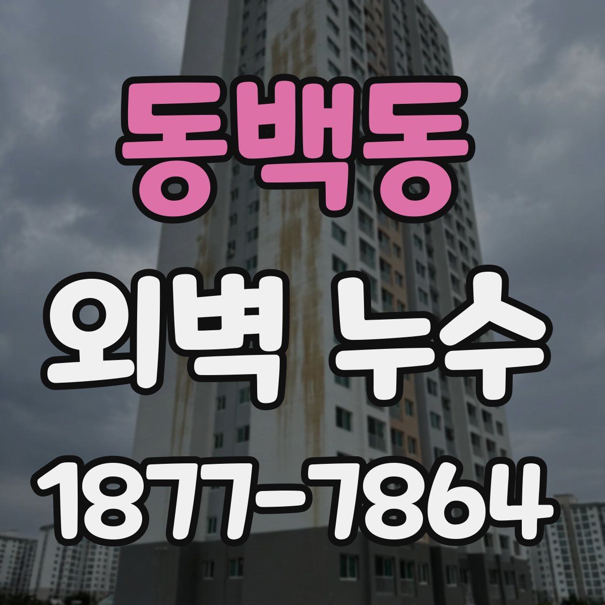 동백동 외벽 누수