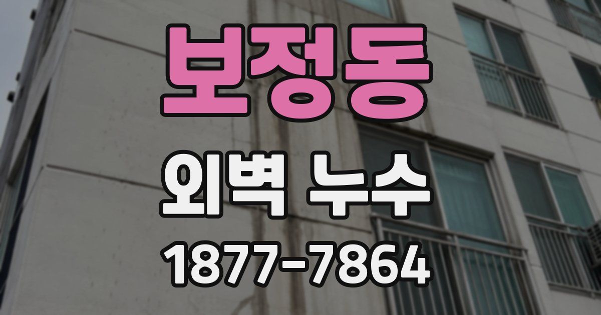 보정동 외벽 누수