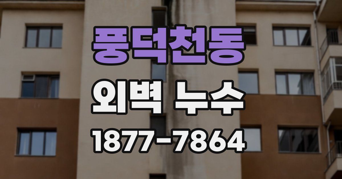 풍덕천동 외벽 누수