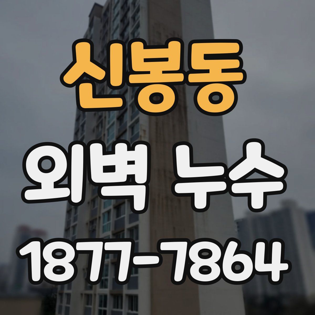 신봉동 외벽 누수