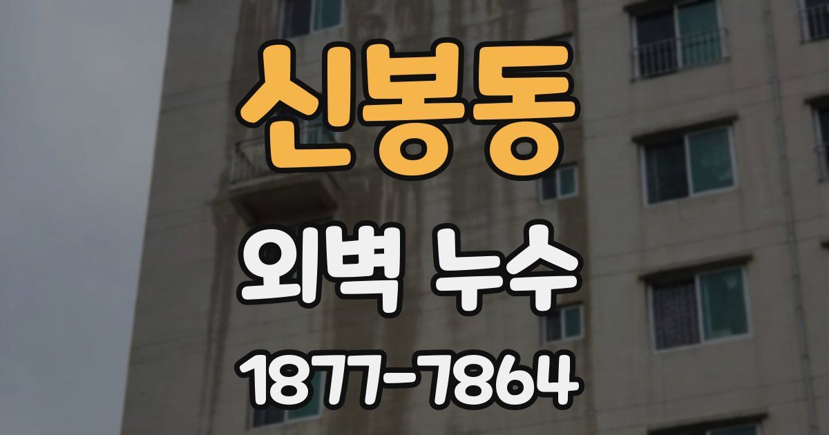 신봉동 외벽 누수