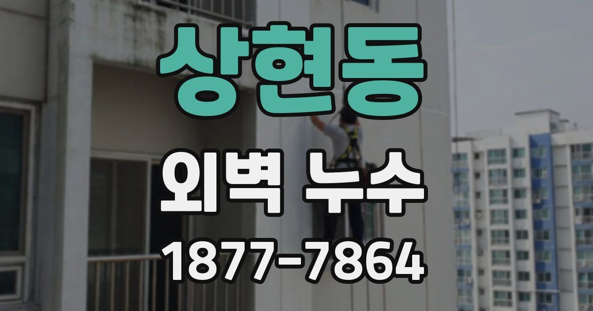 상현동 외벽 누수