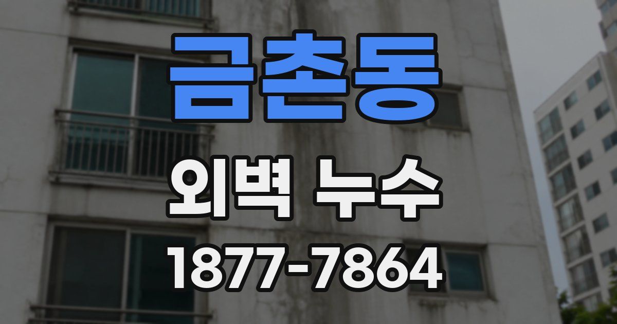 금촌동 외벽 누수