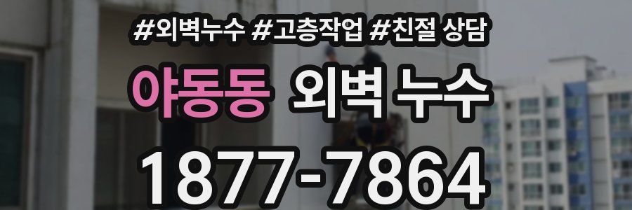 야동동 외벽 누수