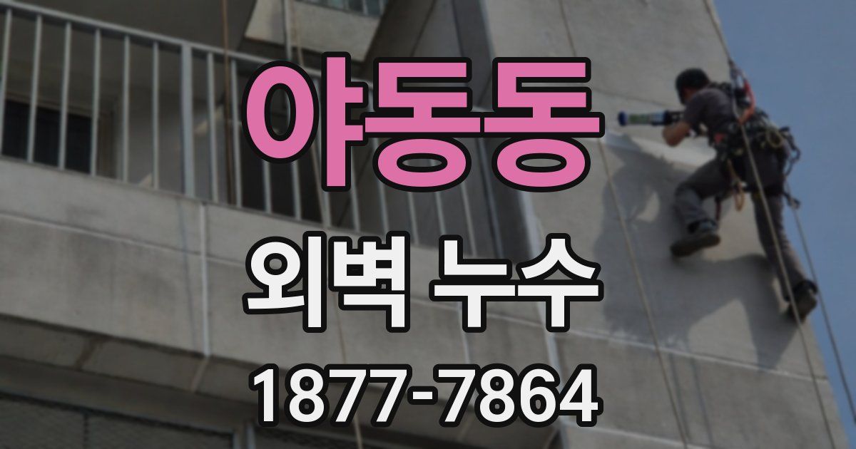 야동동 외벽 누수