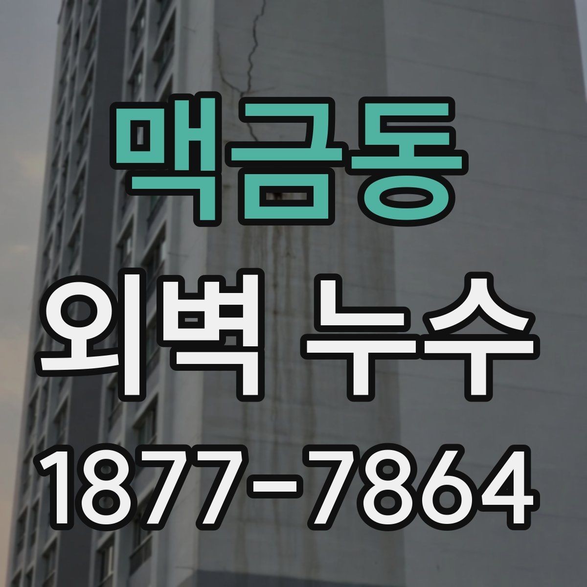 맥금동 외벽 누수 발생 원인과 점검 우선순위