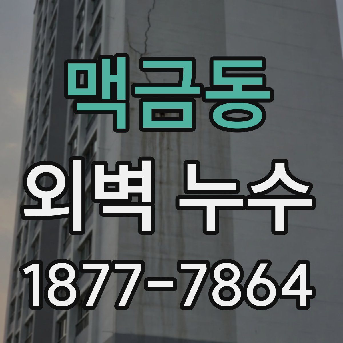맥금동 외벽 누수