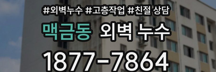 맥금동 외벽 누수