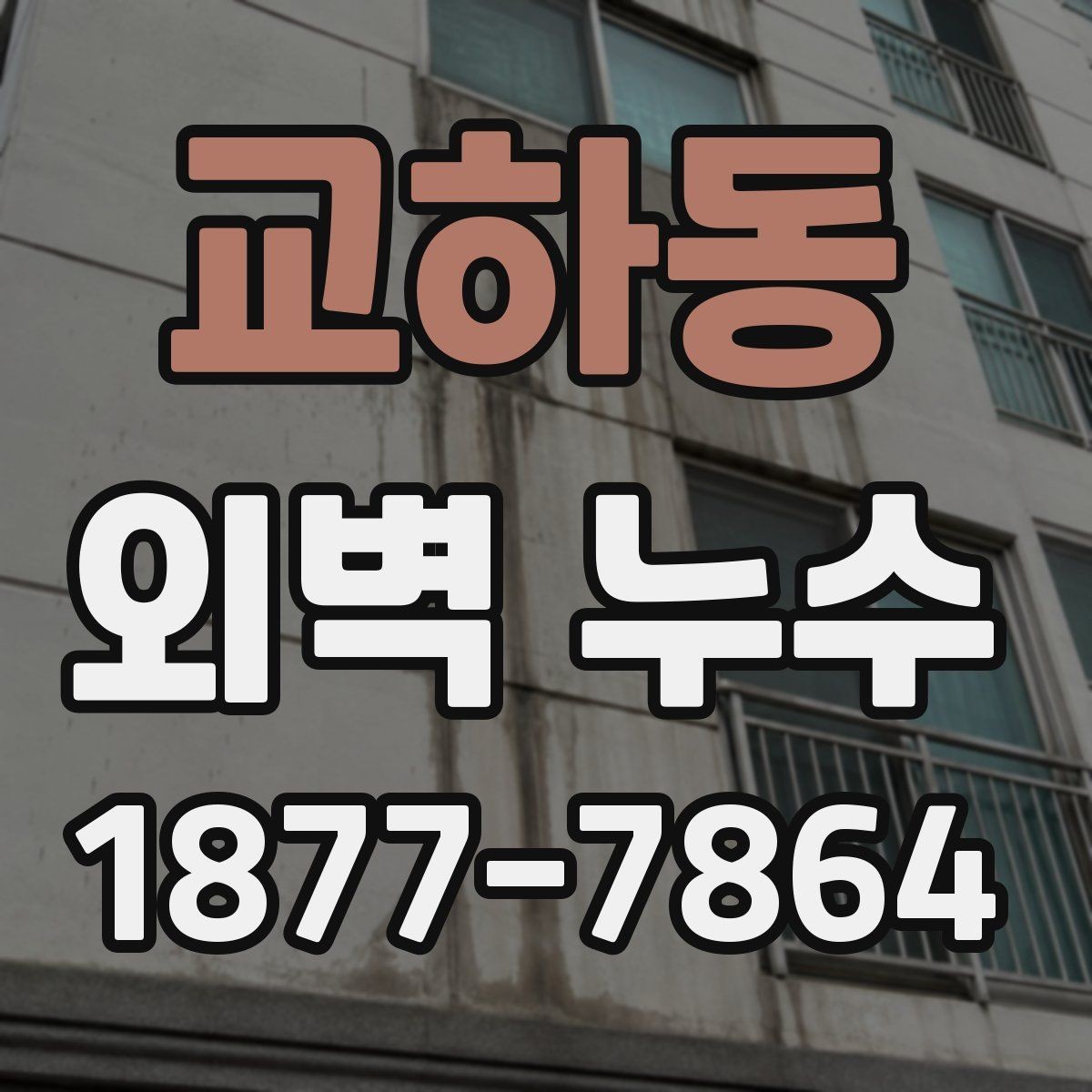 교하동 외벽 누수 원인 파악이 먼저인 이유