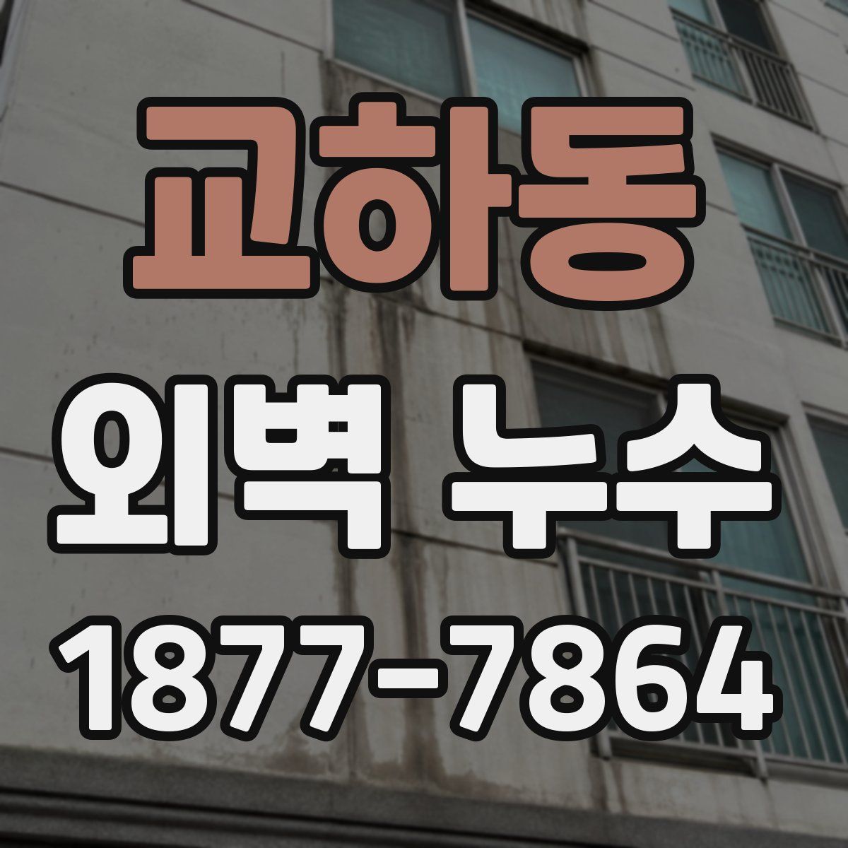 교하동 외벽 누수