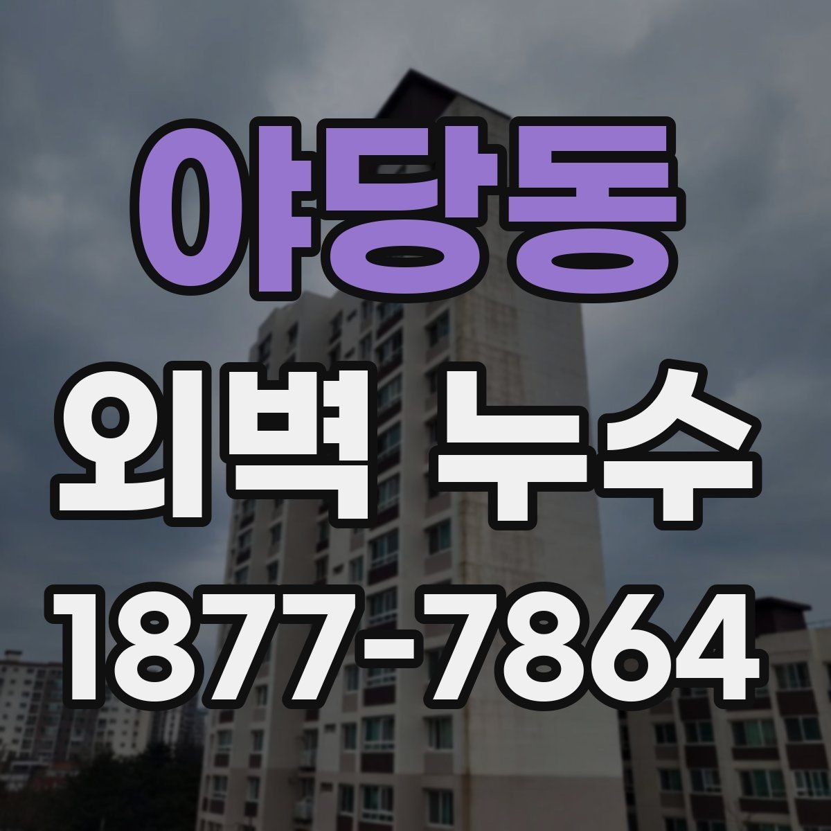 야당동 외벽 누수 방치하면 생길 수 있는 문제
