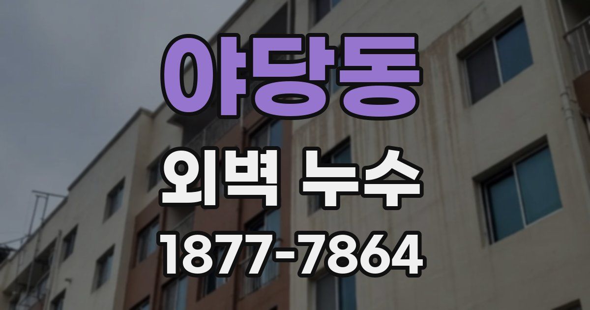 야당동 외벽 누수