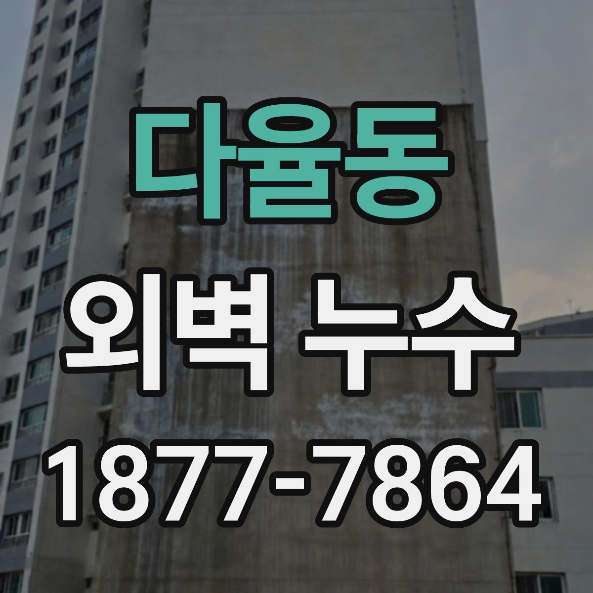 다율동 외벽 누수