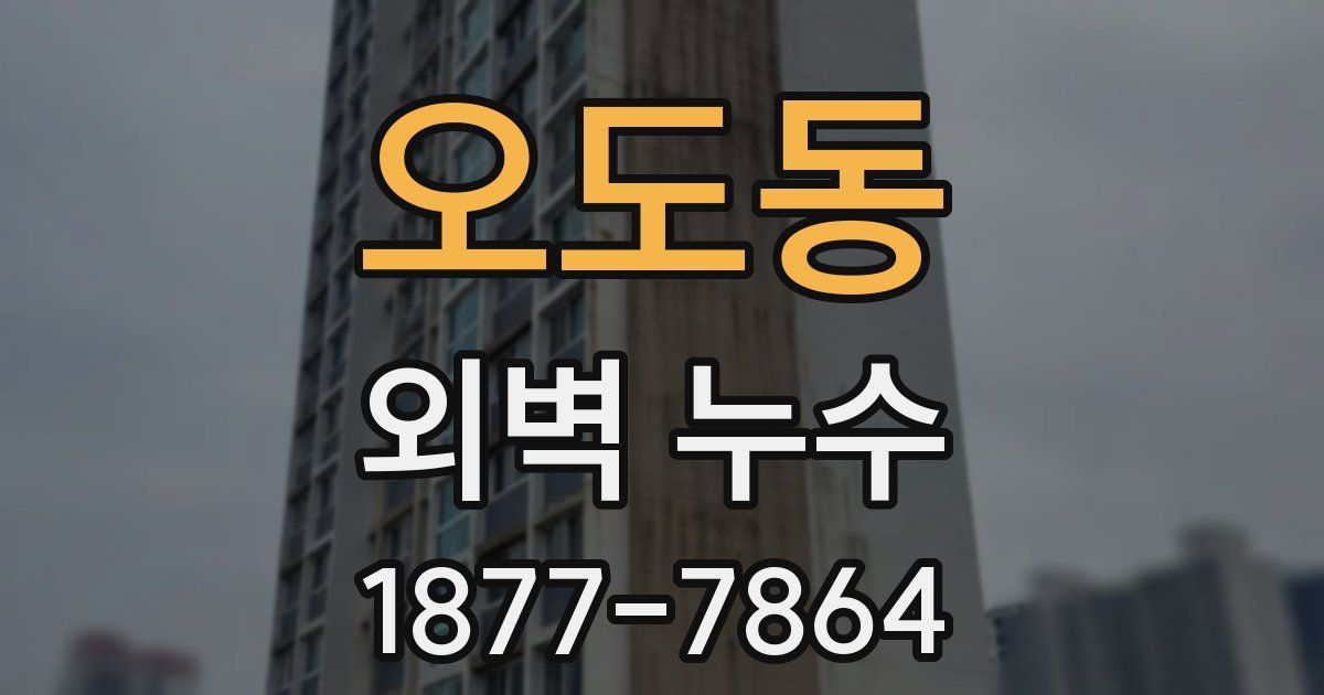 오도동 외벽 누수