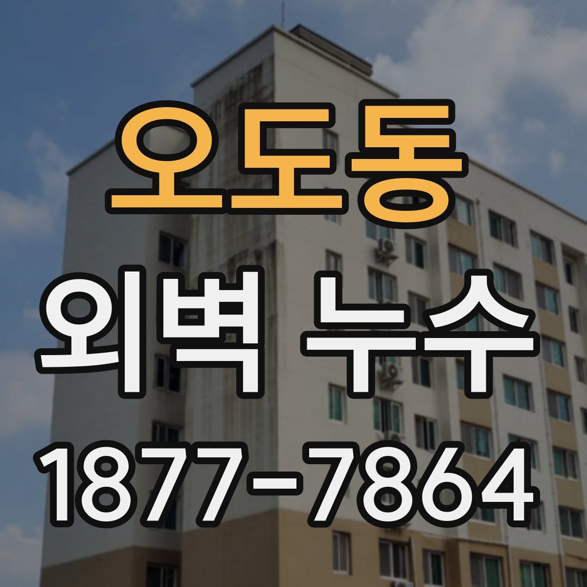 오도동 외벽 누수