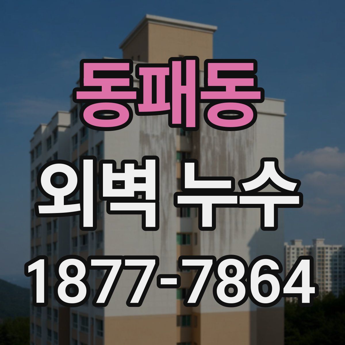 동패동 외벽 누수