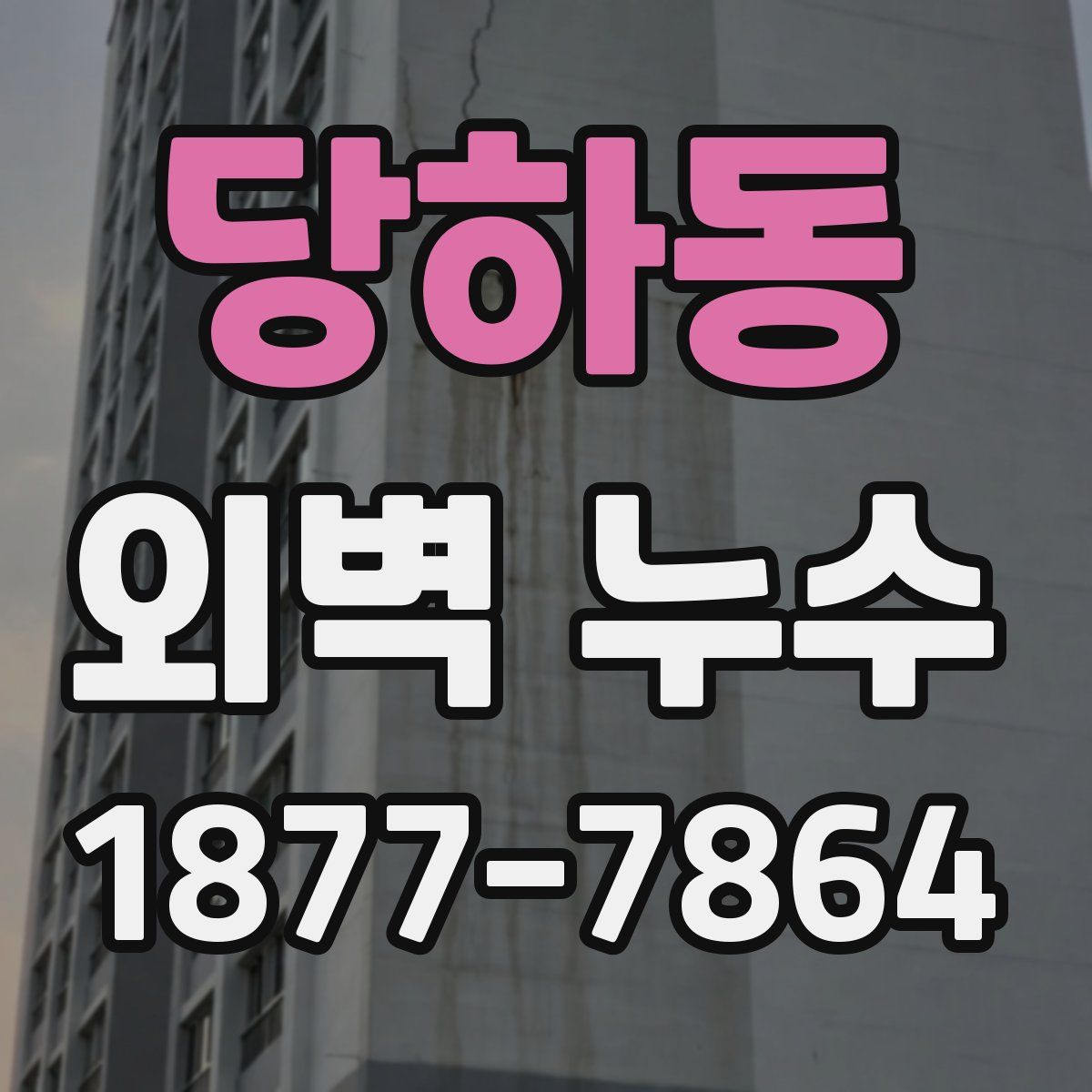 당하동 외벽 누수