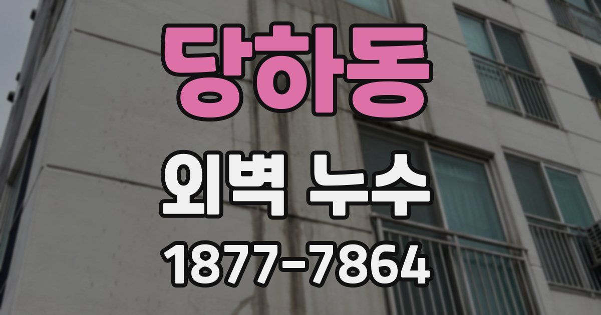 당하동 외벽 누수