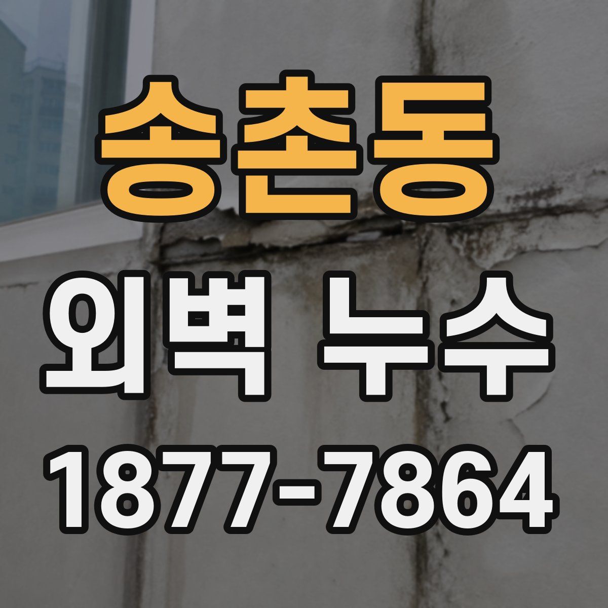 송촌동 외벽 누수