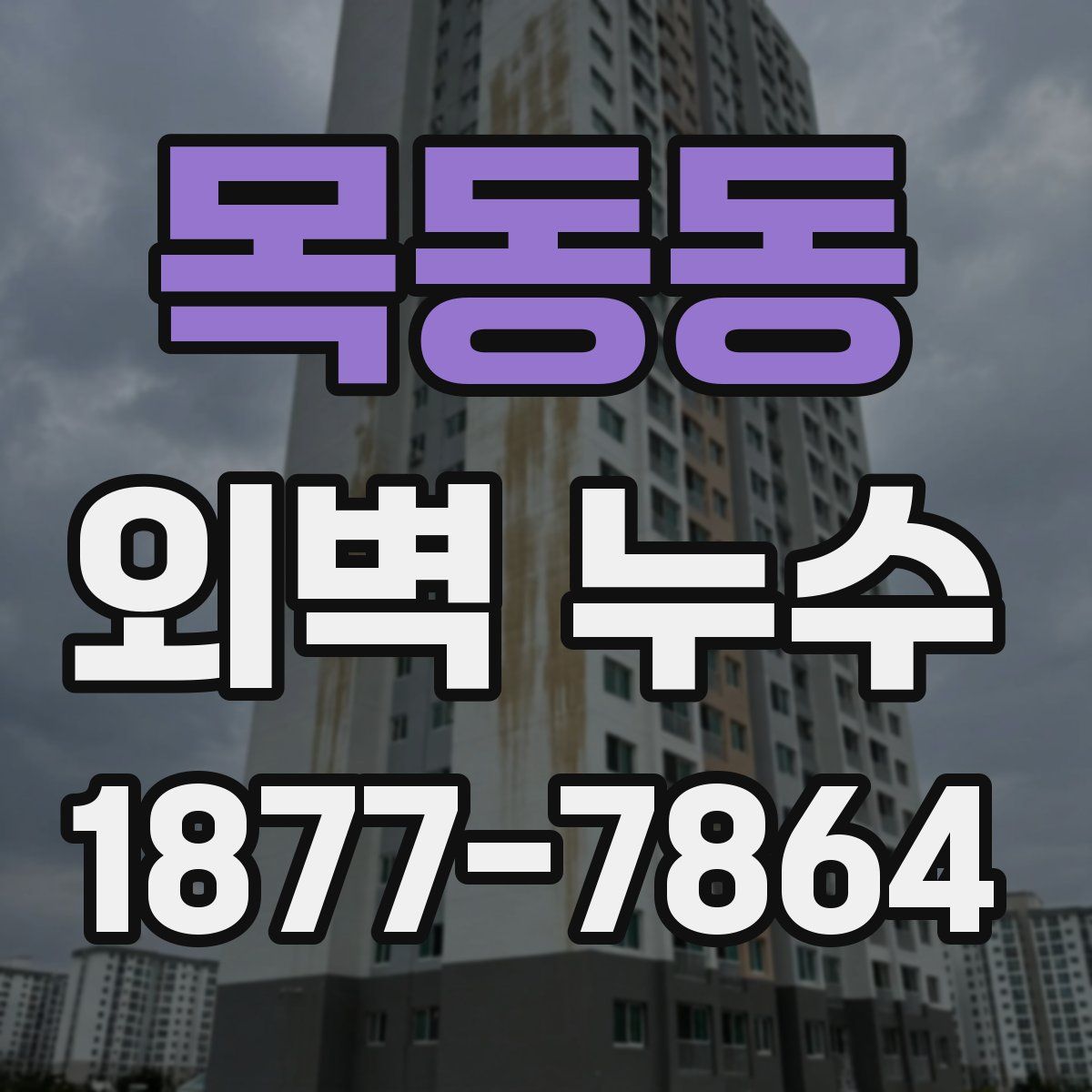 목동동 외벽 누수