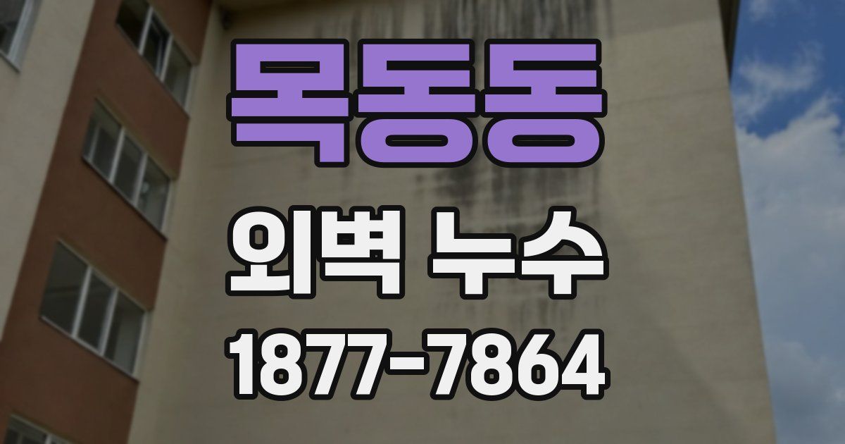 목동동 외벽 누수