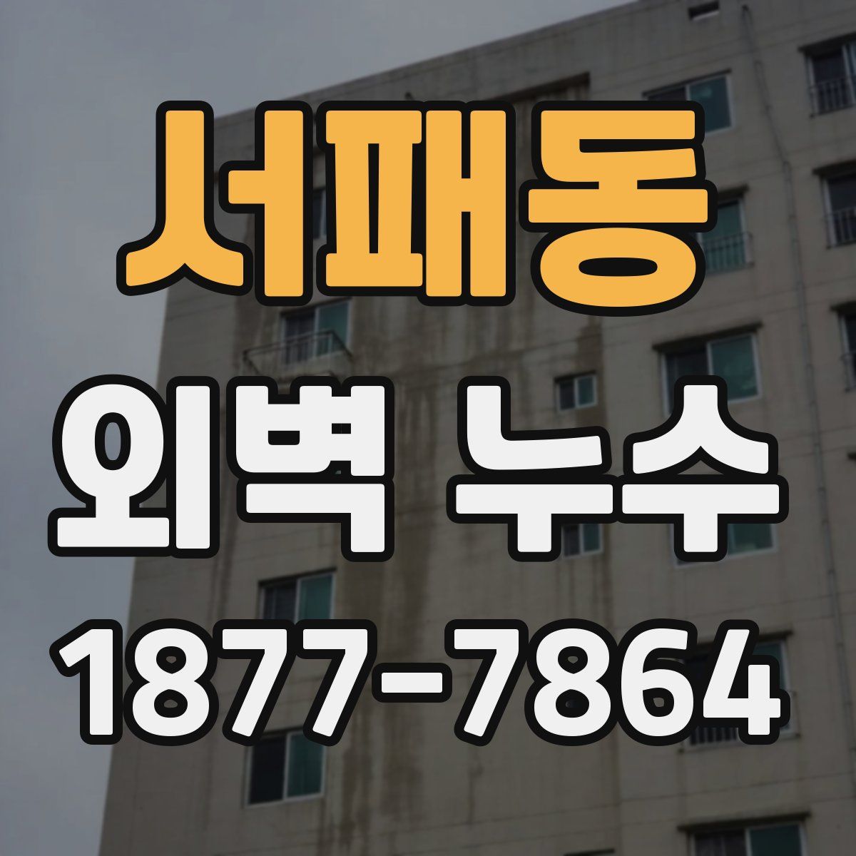 서패동 외벽 누수