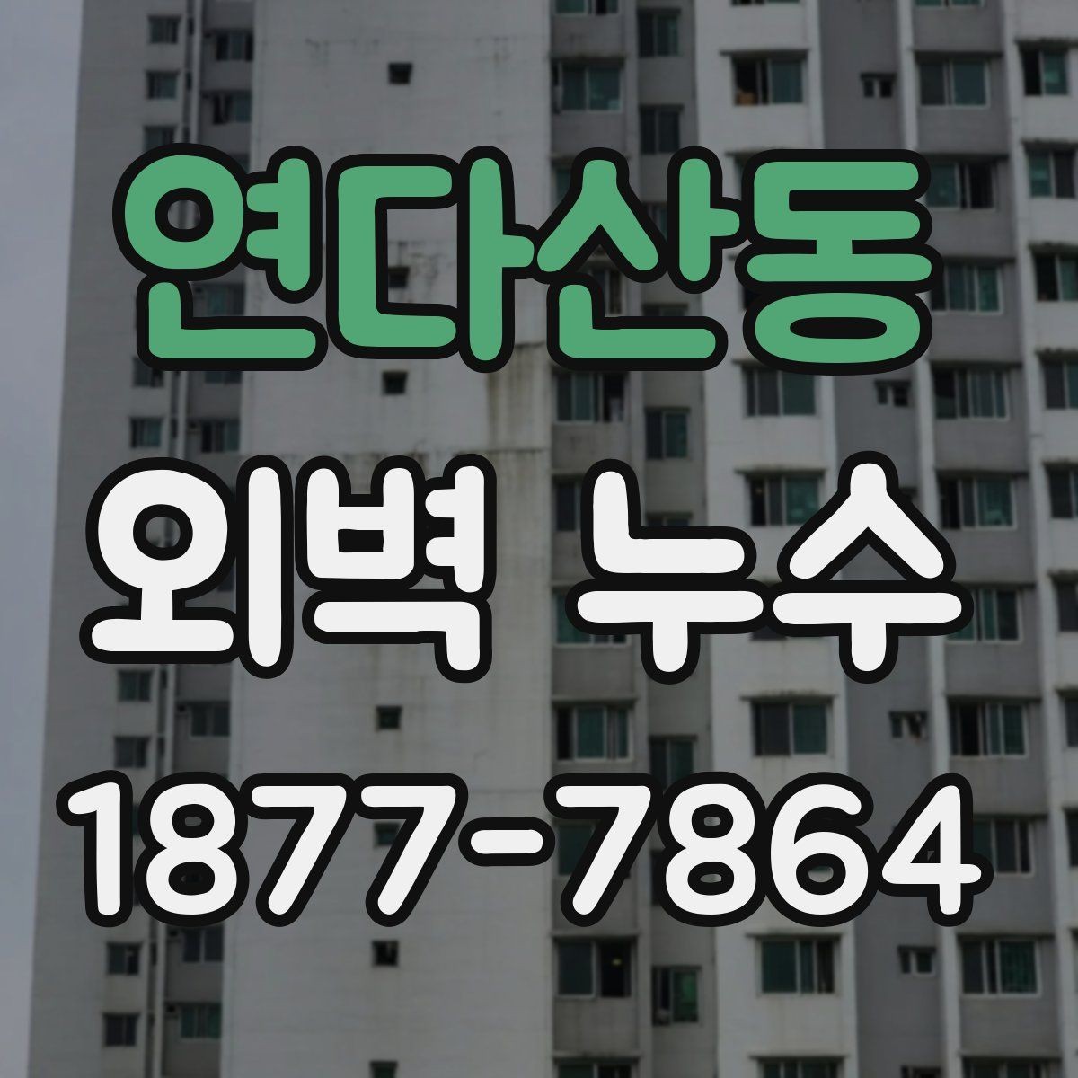 연다산동 외벽 누수 발생 아파트와 단독주택 점검 차이