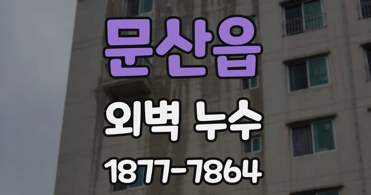 문산읍 외벽 누수
