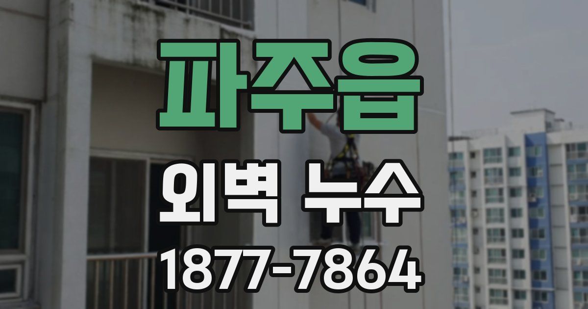 파주읍 외벽 누수