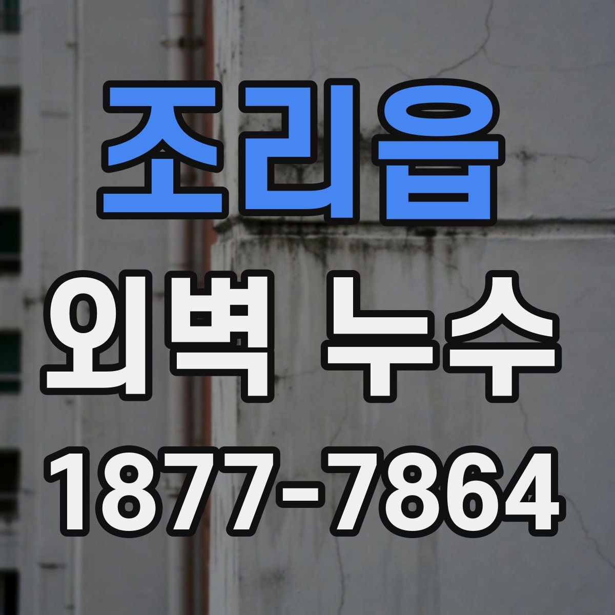 조리읍 외벽 누수