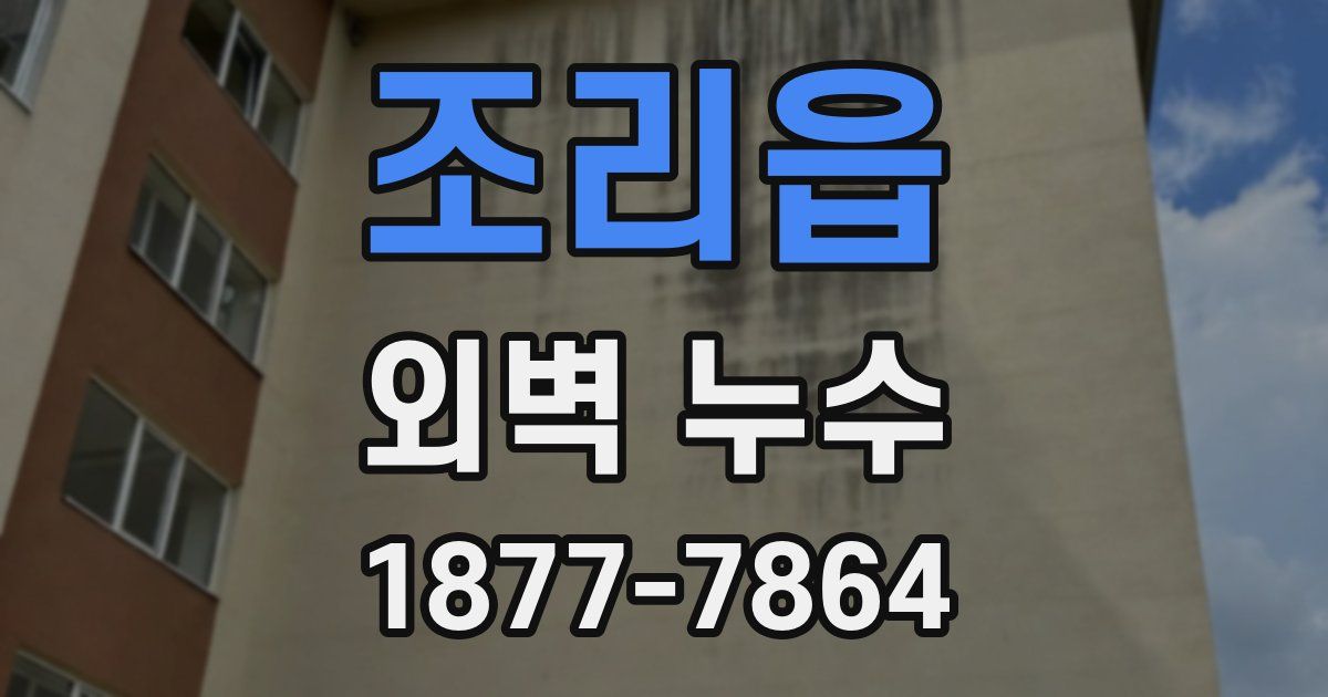 조리읍 외벽 누수