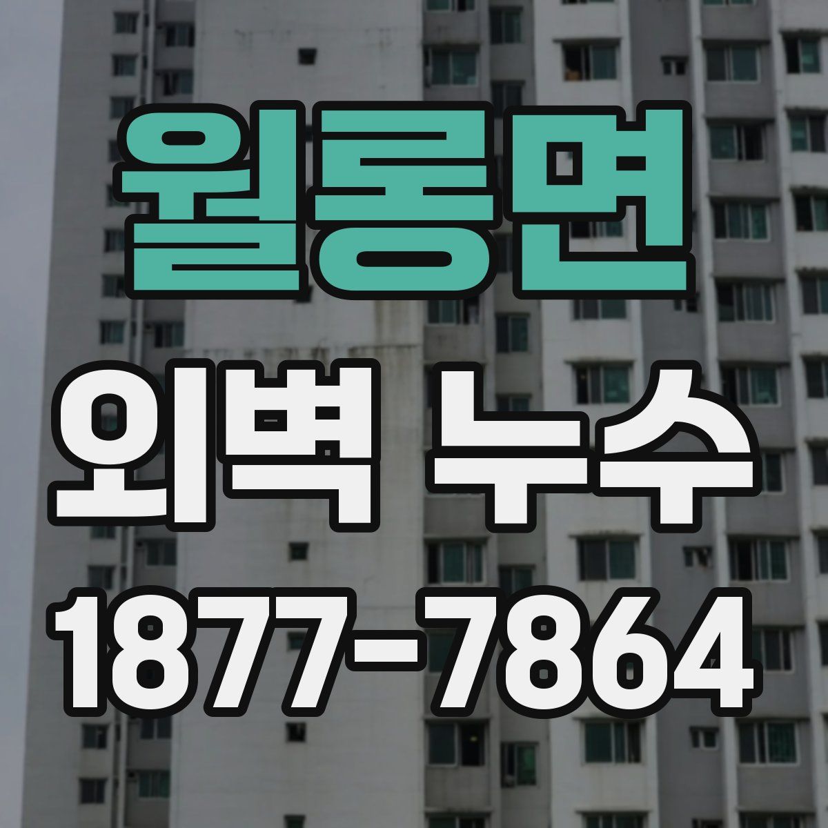 월롱면 외벽 누수