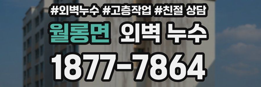 월롱면 외벽 누수