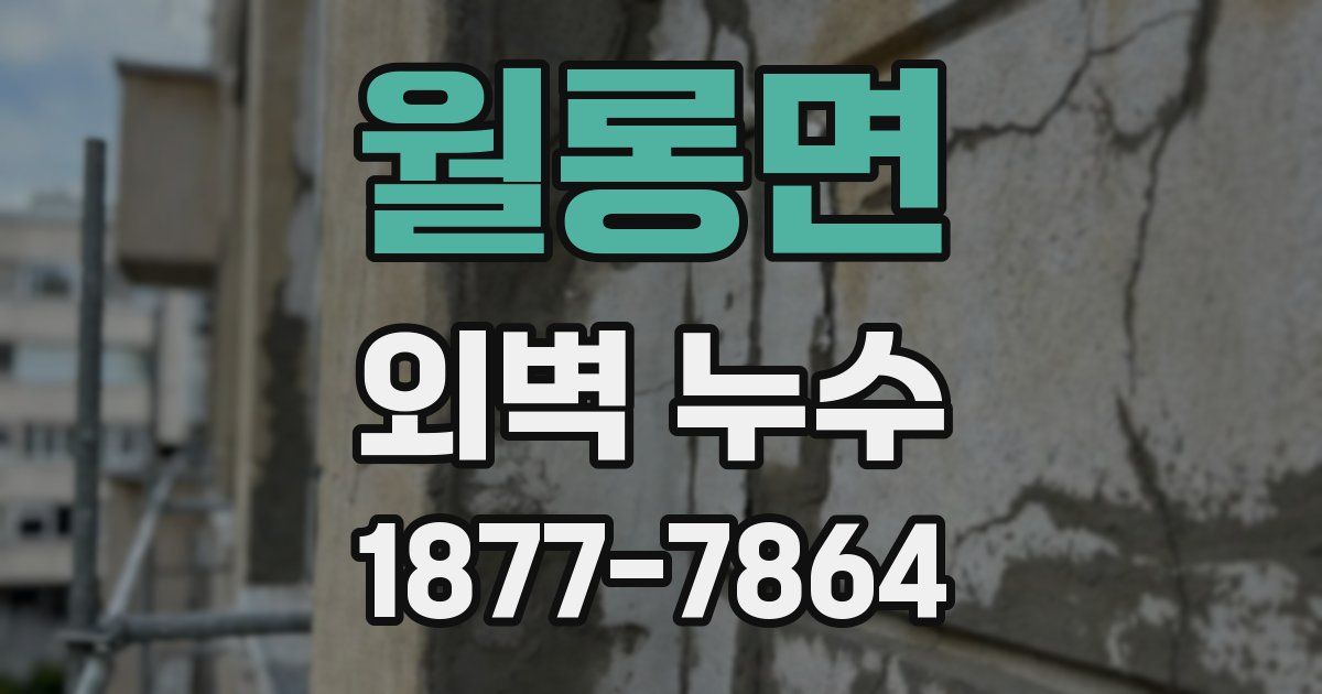 월롱면 외벽 누수