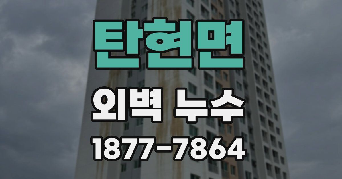 탄현면 외벽 누수