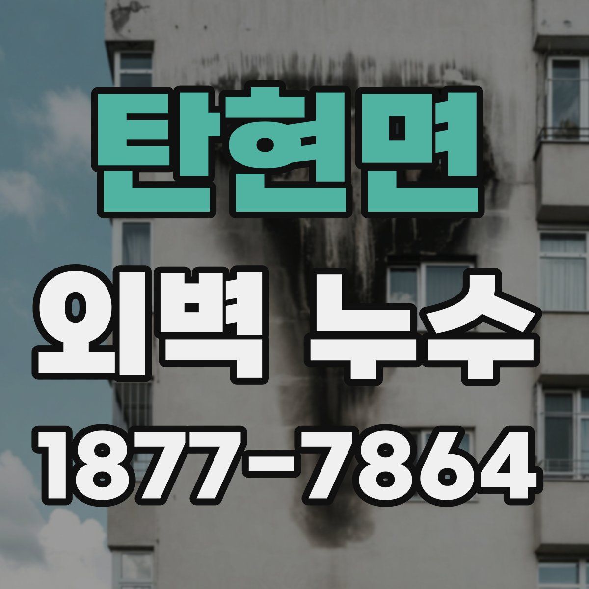 탄현면 외벽 누수