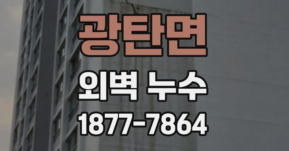 광탄면 외벽 누수