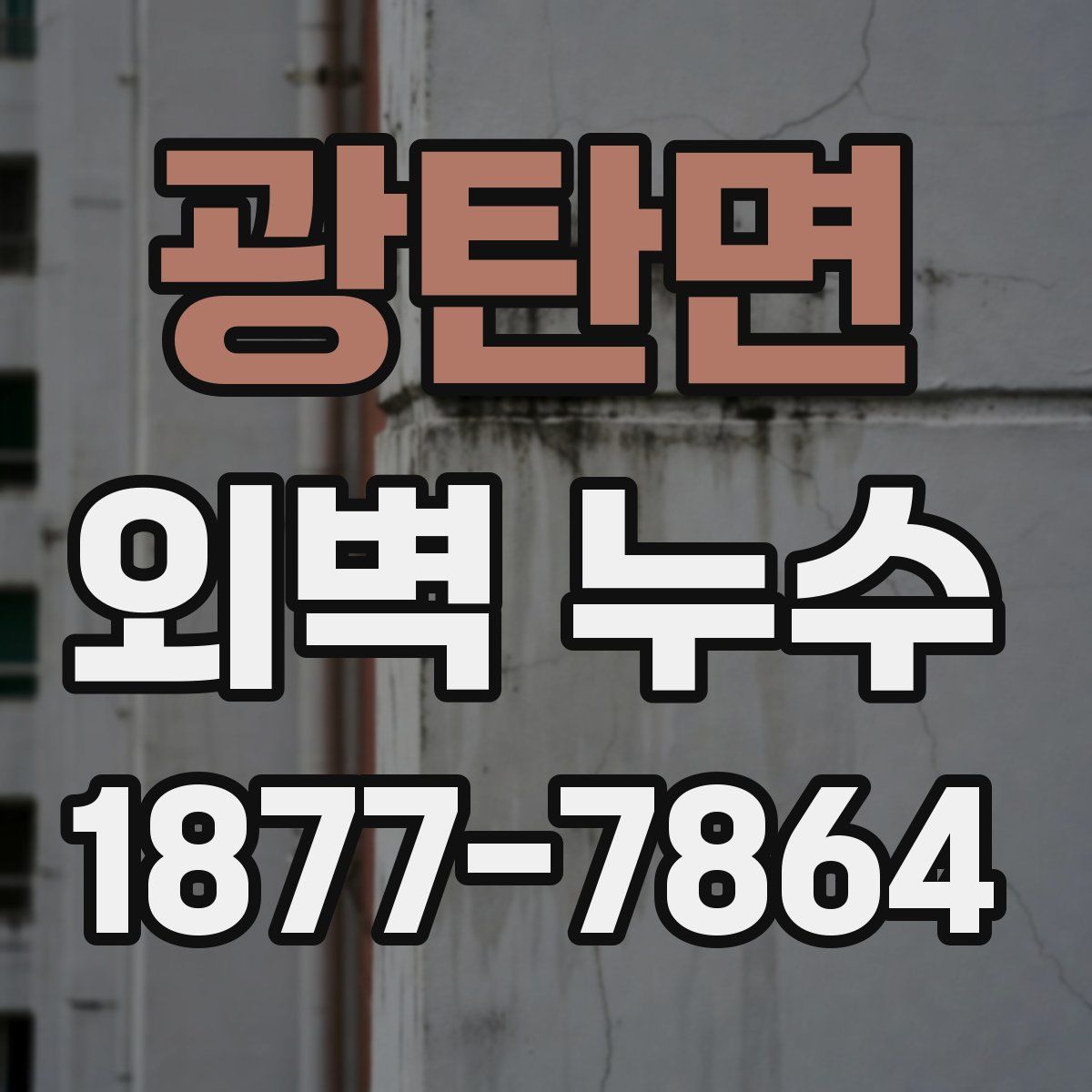 광탄면 외벽 누수