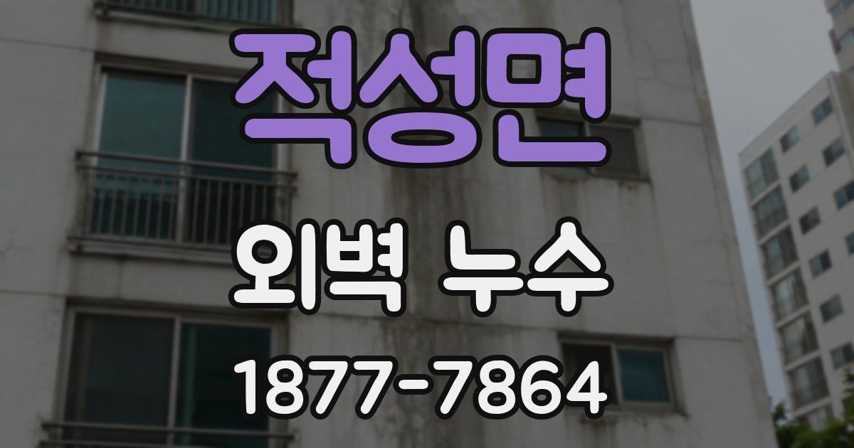 적성면 외벽 누수