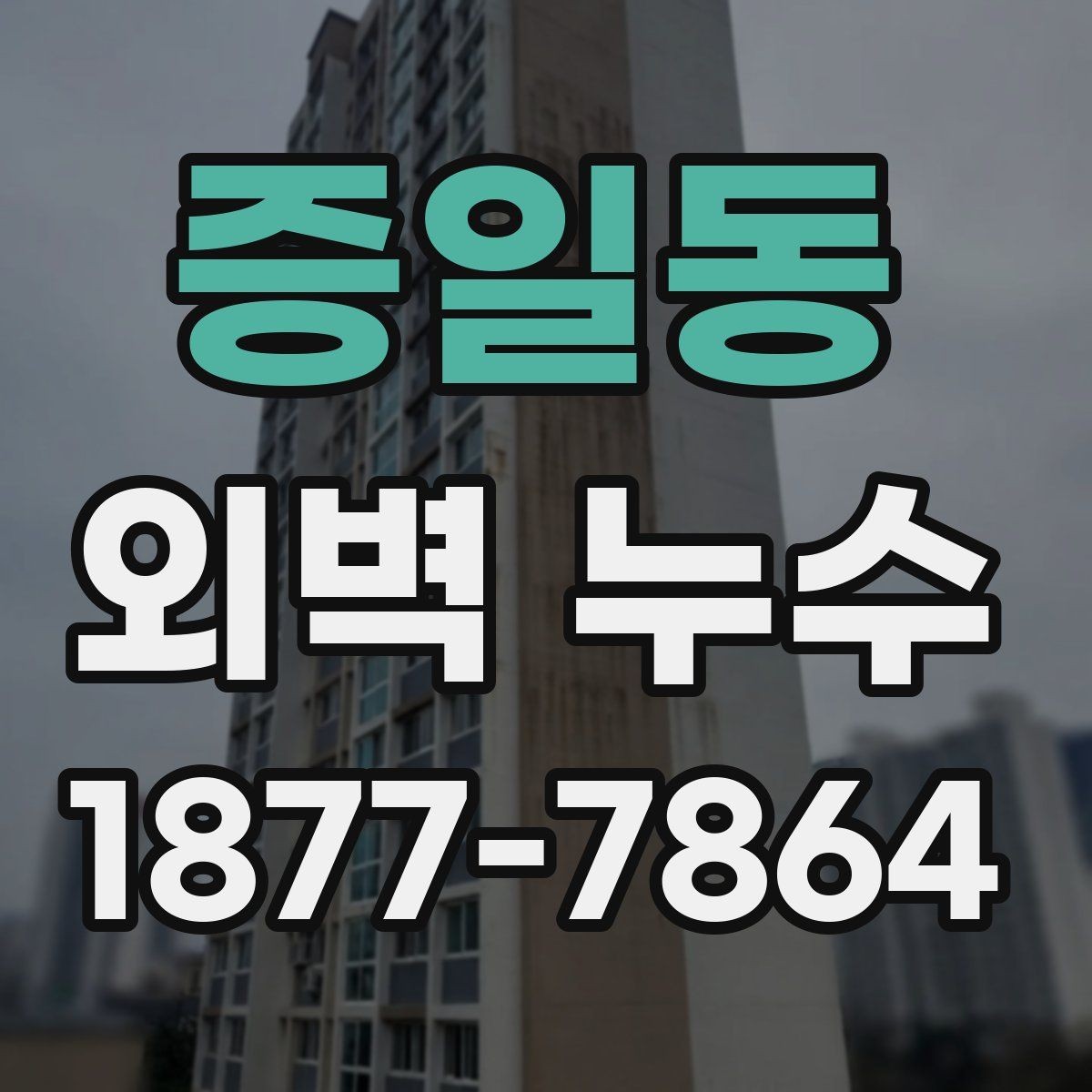 증일동 외벽 누수 발생 구역별 점검 방법