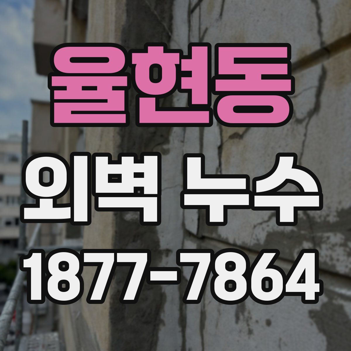 율현동 외벽 누수