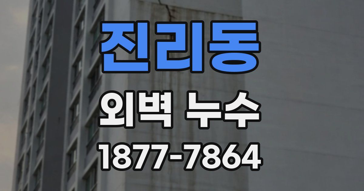 진리동 외벽 누수