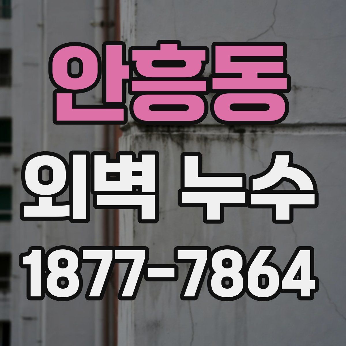 안흥동 외벽 누수 진단 결과를 해석하는 법