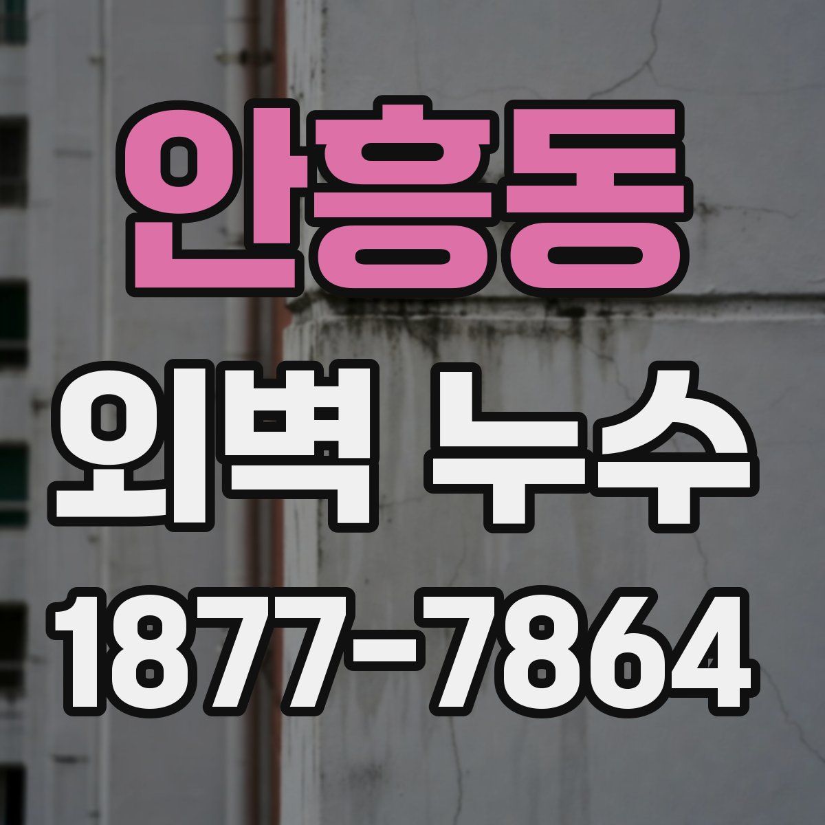 안흥동 외벽 누수