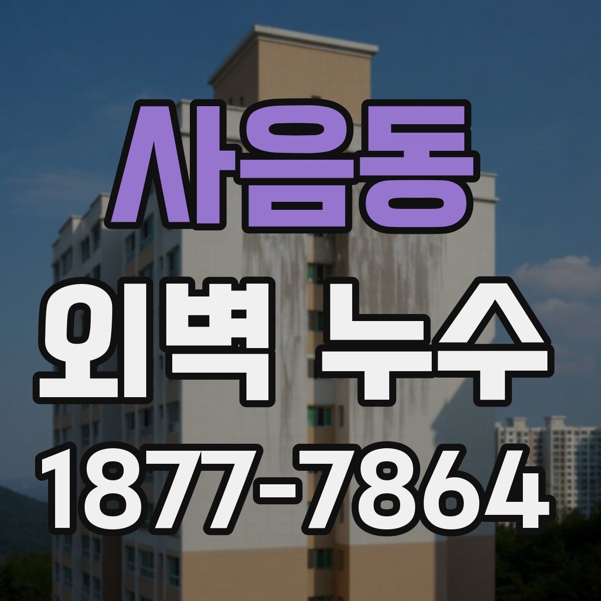 사음동 외벽 누수