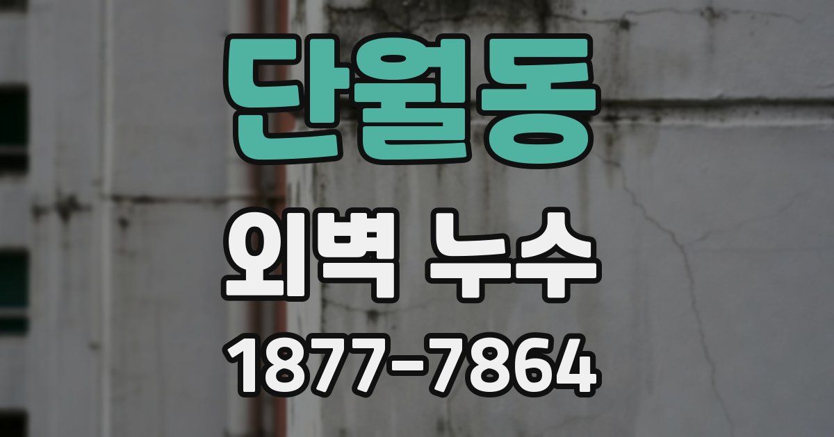 단월동 외벽 누수