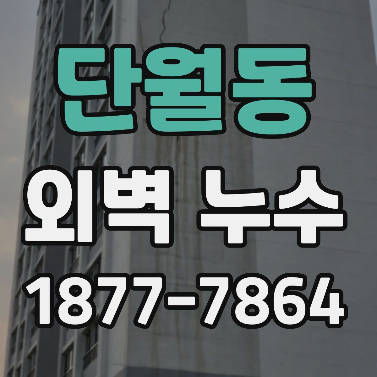 단월동 외벽 누수