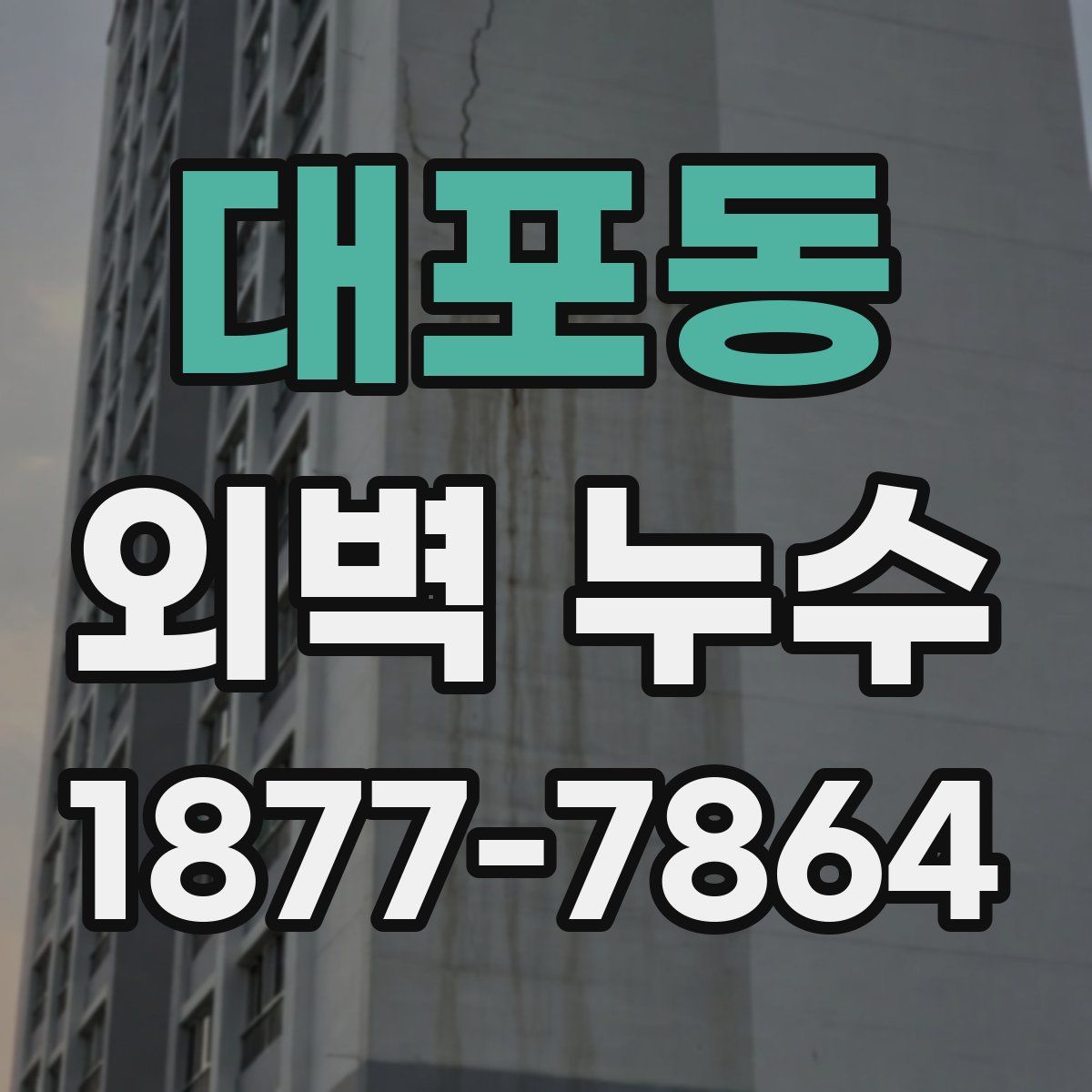 대포동 외벽 누수